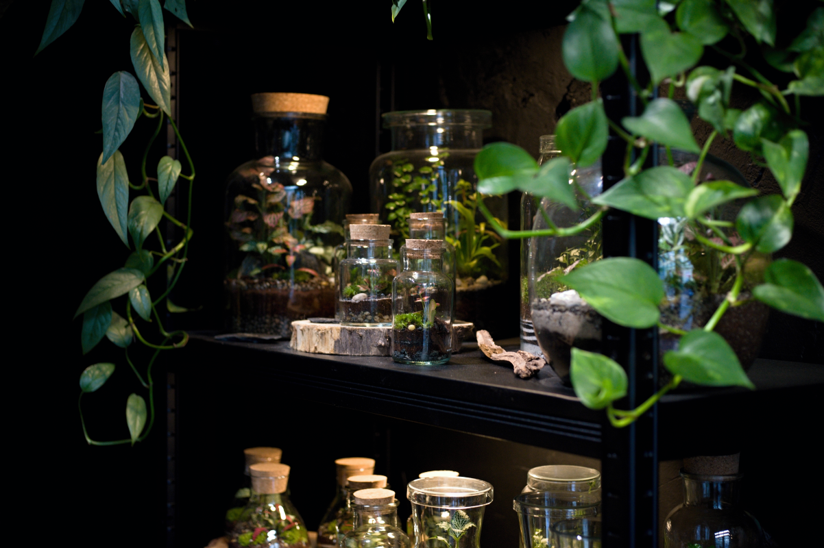 mechária Milujeme mech Korunní 1250